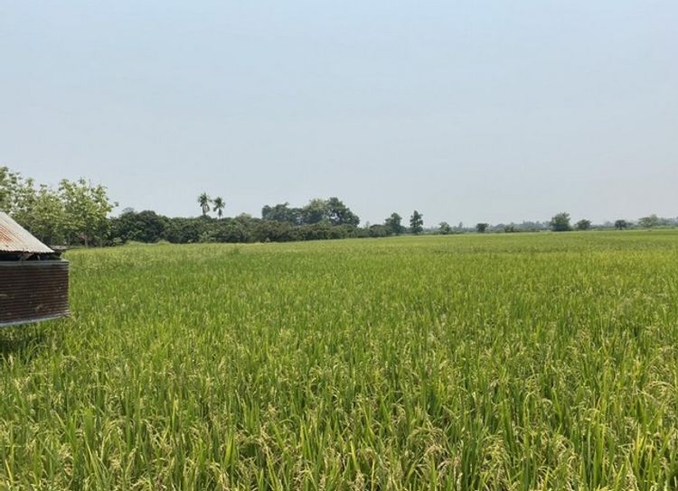  ขายที่ดิน ที่ดิน 13 ไร่  ตำบลขุนคง อำเภอหางดง จังหวัดเชียงใหม่ , ภาพที่ 4