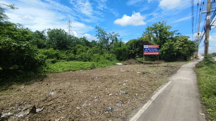 ขาย ที่ดิน ผังเมืองสีชมพู - 33 ไร่ 1 งาน 73 ตรว ทำเลดี ติดถนนใหญ่, ภาพที่ 4