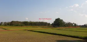 ที่ดินใกล้แยกศูนย์ราชการเมืองเชียงราย สนามบินแม่ฟ้าหลวงเชียงราย 4 ไร่ 