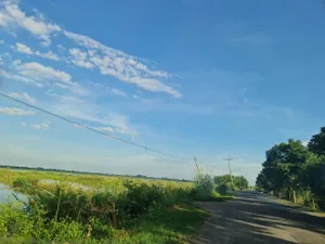โปรจุกจุกรับกลางปีงูใหญ่ 2567   ขาย ที่ดิน  ติดถนนคอนกรีต มหาราช อยุธยา