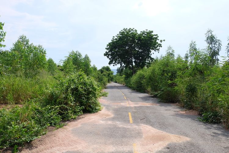 ขายที่ดินเหมาะสร้างบ้าน ในสนามกอล์ฟกรีนวูด บ้านบึง 2 ไร่ 104 ตร.วา., ภาพที่ 4