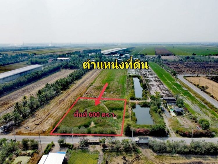 ที่ดิน สร้างโรงงาน ไทรใหญ่ เนื้อที่ 1-2-0 ไร่ วัดสโมสร นบ. 5031 ทำเลดี, ภาพที่ 4