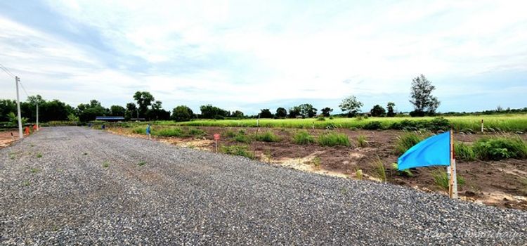 ขายที่ดิน คลอง 15 องครักษ์ ย่านตลาดค้าขายต้นไม้ 100 ตรว ทำสวน, ภาพที่ 4