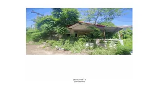 ขายบ้านเดี่ยว  โครงการบ้านรุ้งนภา ปทุมธานี (PG-PTE-LB-A-660070)