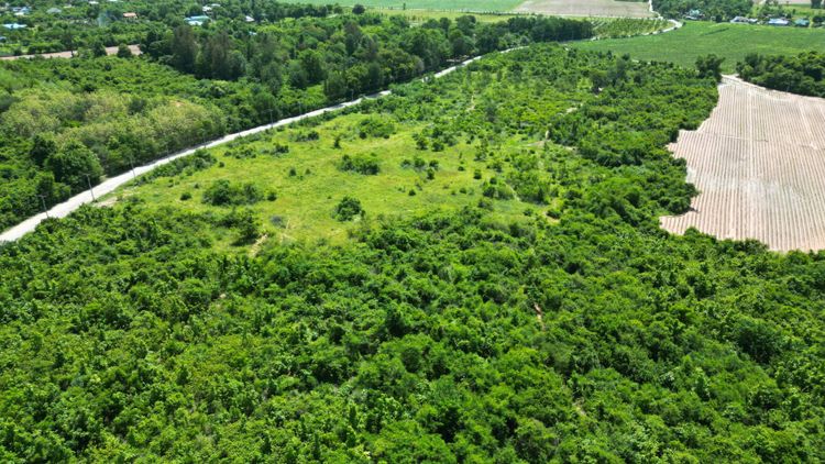 ขายที่ดิน 54 ไร่ บ้านหนองยายกะตา ถนน 3207 ต.หินกอง อ.เมืองราชบุรี, ภาพที่ 4