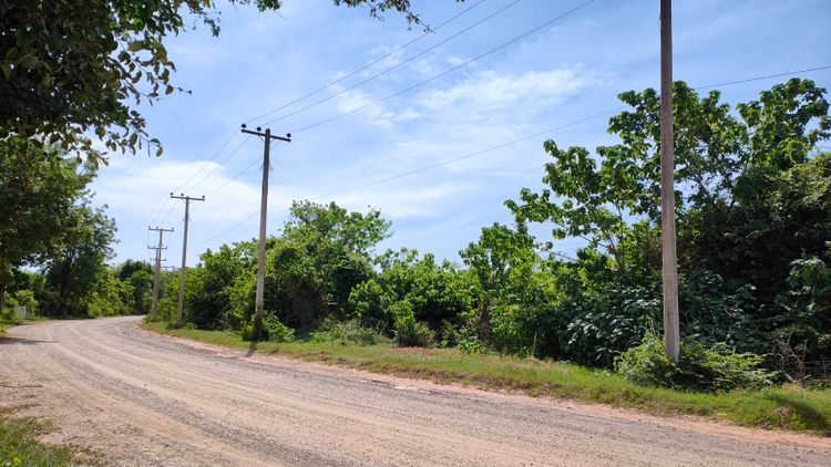 ขายที่ดิน 15 ไร่ บ้านหนองยายกะตา ถนน 3207 ต.หินกอง อ.เมือง จ.ราชบุรี, ภาพที่ 4