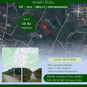 DD#0127 ขายที่สวน ต.หนองตอง อ.หางดง เชียงใหม่ 4ไร่-1งาน-59ตร.วา