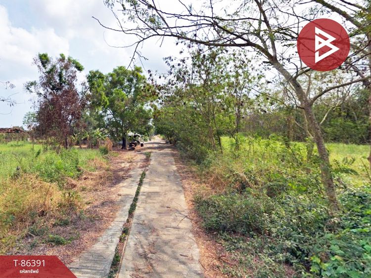 ขายที่ดินเปล่า เนื้อที่ 60 ตร.วา ถ.คลองห้าตะวันตก คลองหลวง ปทุมธานี, ภาพที่ 4