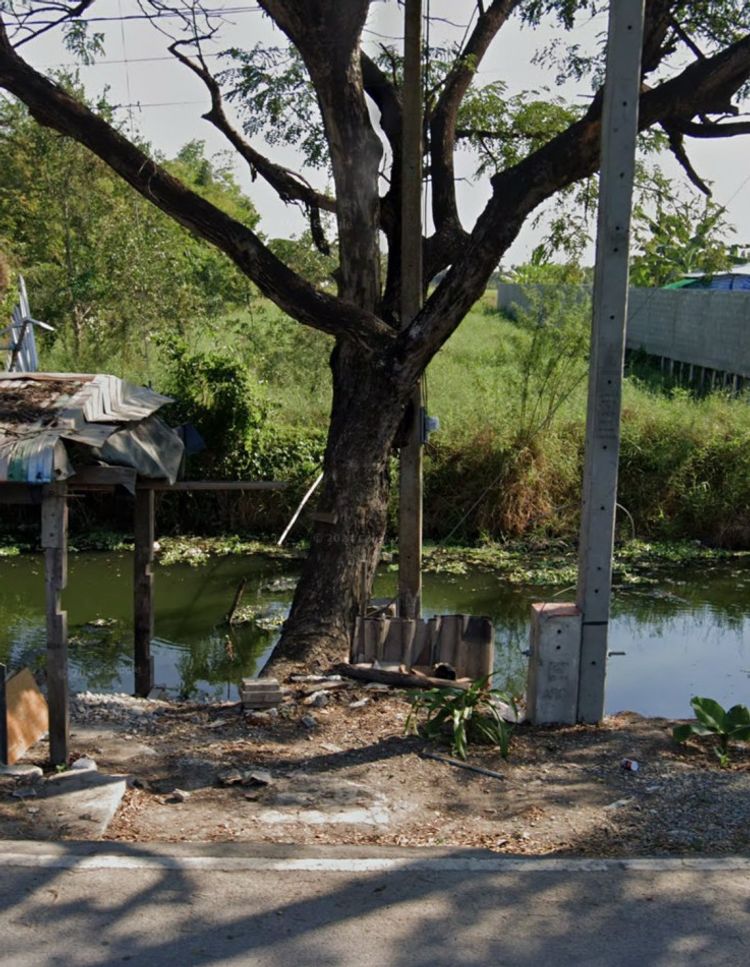 ขาย ที่ดิน ตำบล บางคูรัด อำเภอบางบัวทอง นนทบุรี 1 ไร่ เหมาะสร้างบ้าน, ภาพที่ 4