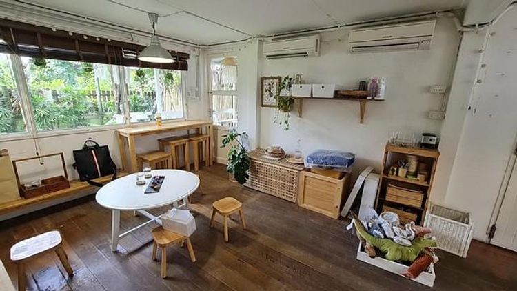 PT12 ขาย ที่ดิน พร้อม บ้าน อาคาร 2 หลัง 133 ตรว. โซนโรงพบาบาลวิมุต ใกล้, ภาพที่ 4