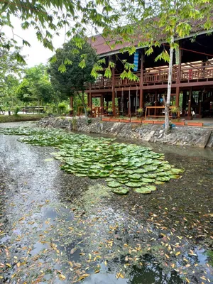 ขายที่ดินพร้อมบ้านเรือนไทยประยุกต์ เนื้อที่รวม 7-3-70 ไร่ ต.หมอนนาง อ.พนัสนิคม จ.ชลบุรี 
