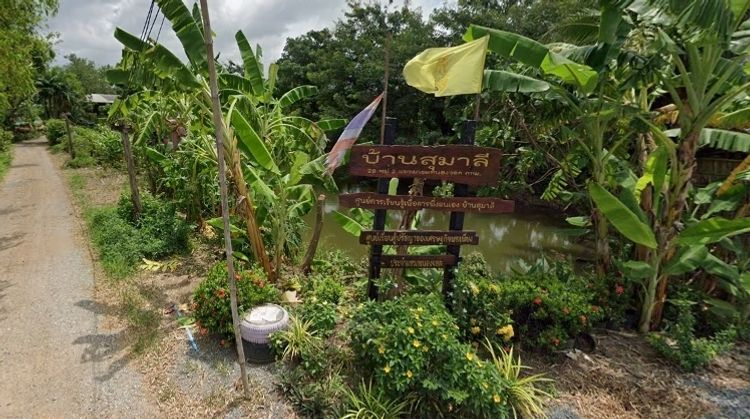 ขายที่ดินหนองจอก ขนาด 2 ไร่ ถนนเลียบคลองสิบสามฝั่งตะวันตก, ภาพที่ 4