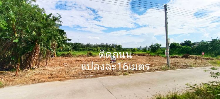 ขายที่ดิน ถมแล้ว ซ.คลองสาม9/9 ตำบลคลองสาม อำเภอคลองหลวง จังหวัดปทุมธานี, ภาพที่ 4