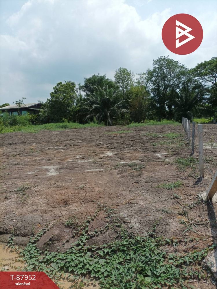 ขายที่ดิน เนื้อที่ 1 งาน หนองจอก กรุงเทพมหานคร, ภาพที่ 4