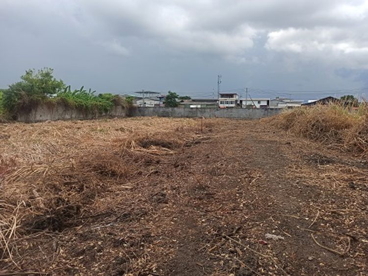 ขาย ที่ดิน แขวงแสมดำ เขตบางขุนเทียน กรุงเทพมหานคร, ภาพที่ 4