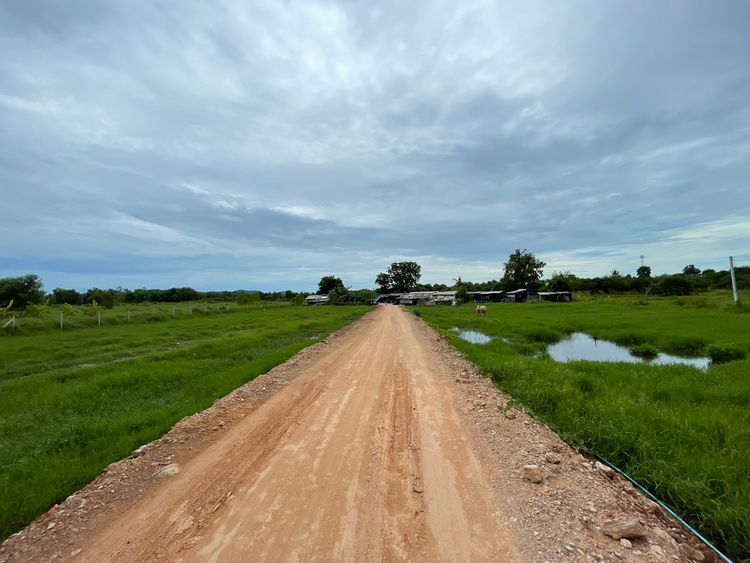 ขายที่ดินบ้านเพเนื้อที่ 150 ตรว. ซอยสำเภาทองซอย2 เมืองระยอง, ภาพที่ 4