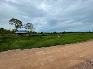 ขายที่ดินบ้านเพเนื้อที่ 150 ตรว. ซอยสำเภาทองซอย2 ใกล้ถนนเส้นสุขุมวิท3-800เมตร เมืองระยอง