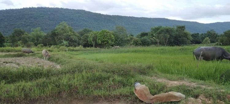 มิถุนากลางปีรับโปรดีดีข้อเสนอสุดพิเศษกับทีมการขายเน้นโทรตรงนะคะ   , ภาพที่ 4