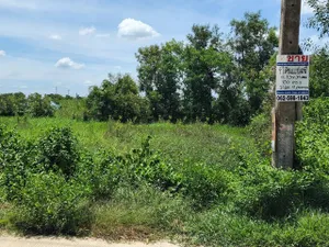 ที่ดิน - 970000 บาท  100 ตร.ว. 0 ngan 0 RAI ใกล้ วัดธรรมกาย ตลาดไท ทำเล-คุณภาพ
