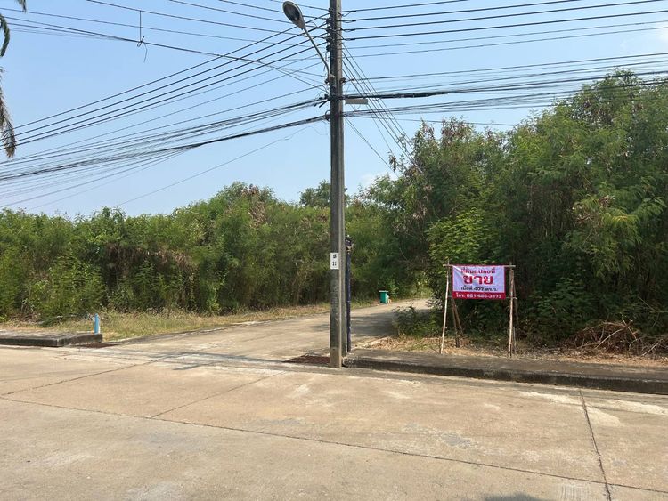ขายที่ดินในหมู่บ้านฮันนี่, ภาพที่ 4