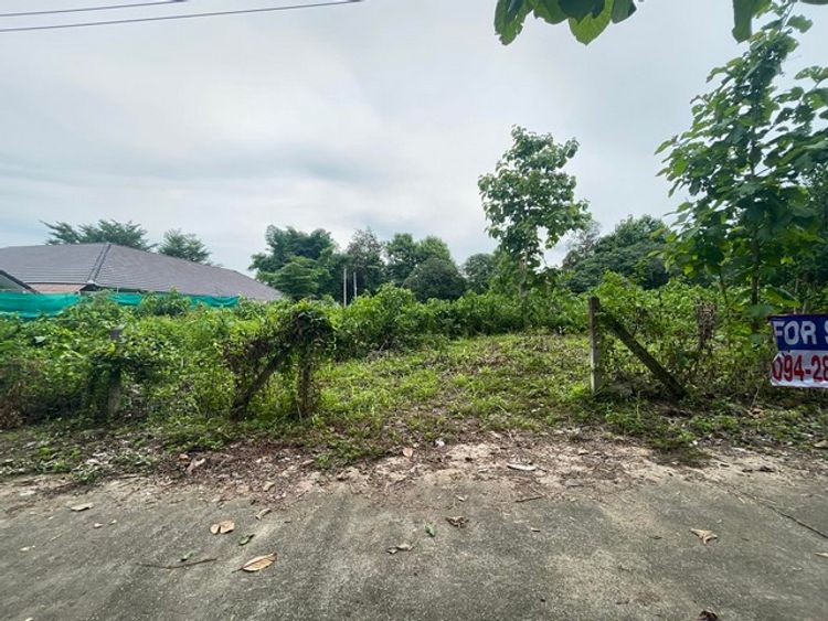 ที่ดินพร้อมสร้างบ้าน ติดถนนคอนกรีตสาธารณะไม่ไกลจากตัวเมืองน้ำไฟพร้อม, ภาพที่ 4