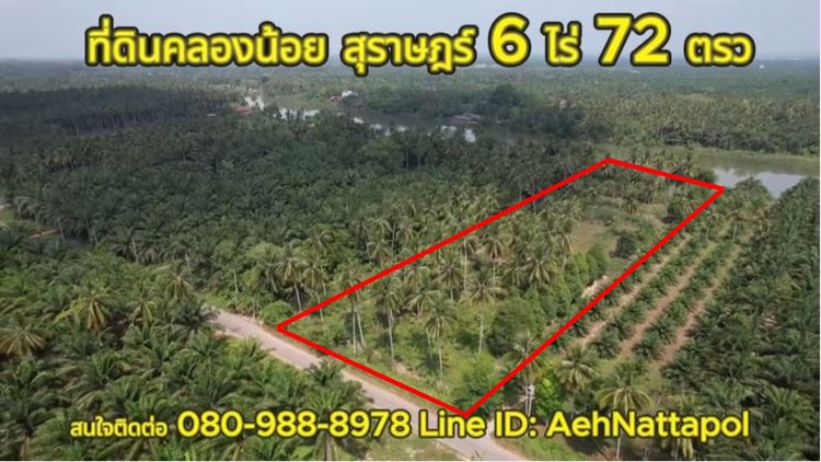 ที่ดินติดแม่น้ำแปลงสวยที่สุด หน้าติดถนน หลังติดคลองพุนพิน แม่น้ำใหญ่, ภาพที่ 4