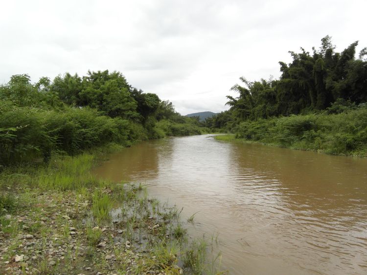 ขายที่ดินแปลงสวย ใกล้สถานที่ราชการ อ.บ้านคา ราชบุรี, ภาพที่ 4