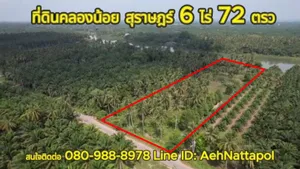 ที่ดินติดแม่น้ำแปลงสวยที่สุด หน้าติดถนน หลังติดคลองพุนพิน แม่น้ำใหญ่