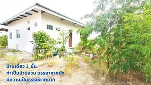 ขายบ้านเดี่ยว 1 ชั้น100 วาคลองสี่ (ฝั่งตะวันออก)  ผ่อนตรงกับเจ้าของได้ ถนนคอนกรีต  คลองหลวง ปทุมธานี