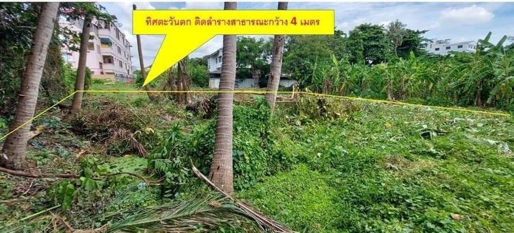 ขายที่ดินเปล่า 157ตรว เพชรเกษม48 ภาษีเจริญ กรุงเทพ  อยู่ซอยเพชรเกษม 48, ภาพที่ 4