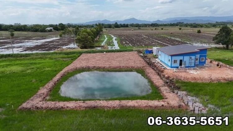 ขายที่สวยวิวเขา ติดถนนลาดยางในซอย ขุดบ่อ ถมที่ไว้เรียบร้อย ต.วังกระโจม, ภาพที่ 4