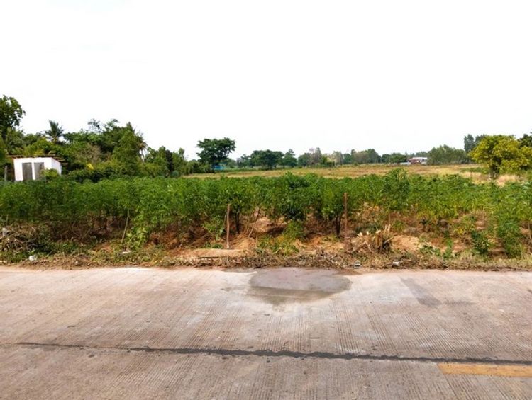 ขาย ที่ดิน ต.ถ้ำกระต่ายทอง อ.พรานกระต่าย จ.กำแพงเพชร   PAP1-0224, ภาพที่ 4