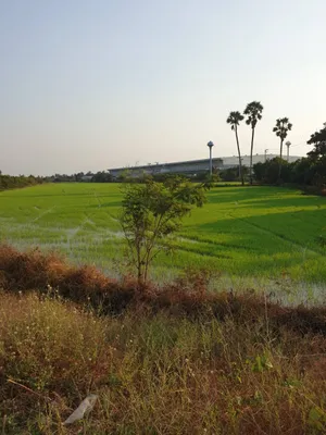 ขายถูกที่สุด ที่ดินขนาด 6 ไร่ ใกล้ศูนย์กระจายสินค้าโลตัส สามโคก