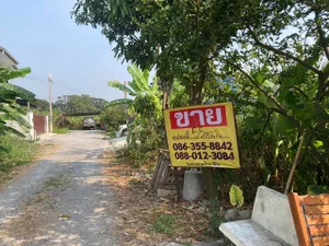 ขายที่ดินเปล่า 55 ตารางวา  ซอยจรูญสอนดี พัฒนาชนบท 3 ร่มเกล้า เขตลาดกระบัง กรุงเทพ   ZT391 