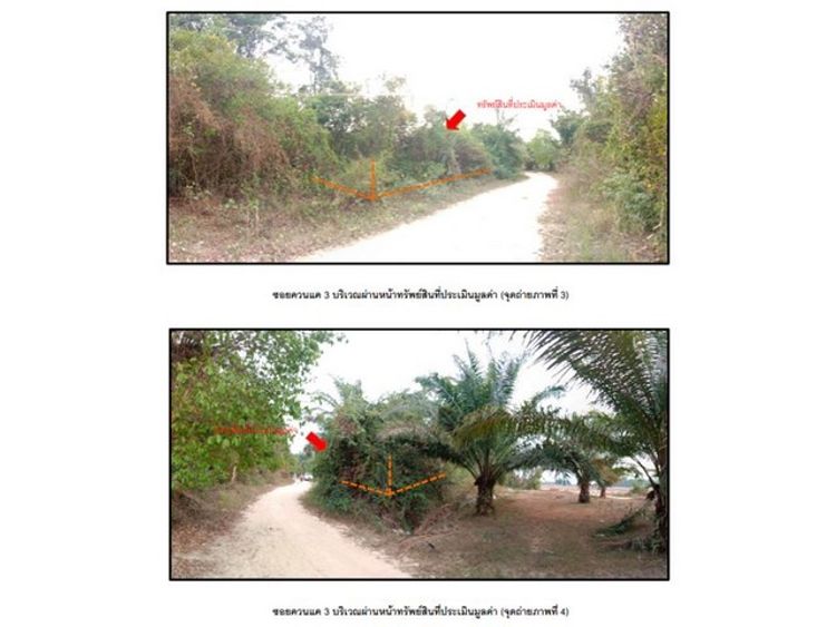 ที่ดินว่างเปล่า อ.เหนือคลอง จ.กระบี่    PG KBI610004, ภาพที่ 4