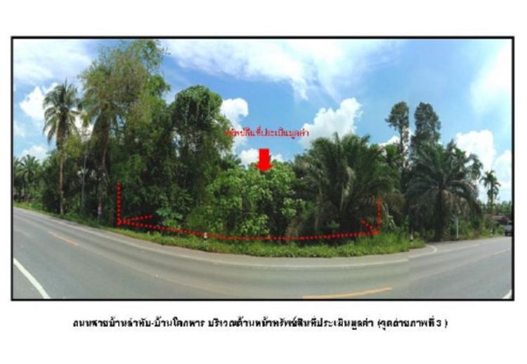 ขายบ้านเดี่ยวชั้นเดียว  ต.ลำทับ อ.ลำทับ จ.กระบี่ PG KBI-LB-A-650004, ภาพที่ 4