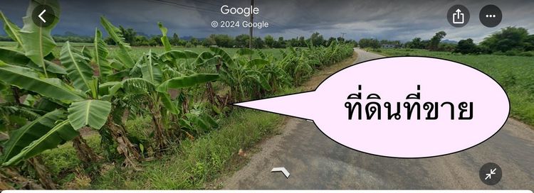 ขายที่ดินเปล่า ตำบลนาเหล่า อำเภอนาวัง หนองบัวลำภู ติดถนนโลคัลโรด อบจ. , ภาพที่ 4