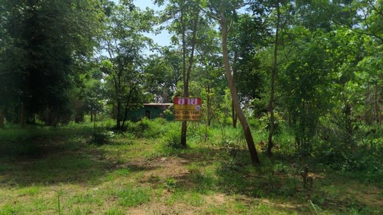 ขายด่วน ที่ดิน 221 ตร.ว ใกล้รร.นาย่า ปาร์ควิว ขอนแก่น , ภาพที่ 4