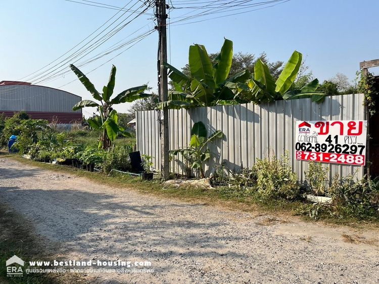 ขายที่ดิน ถนนราษฎร์อุทิศ40 ที่สวยถมแล้ว ราคาถูก ขนาด 41.5 ตรว. ทำเลสวย, ภาพที่ 4