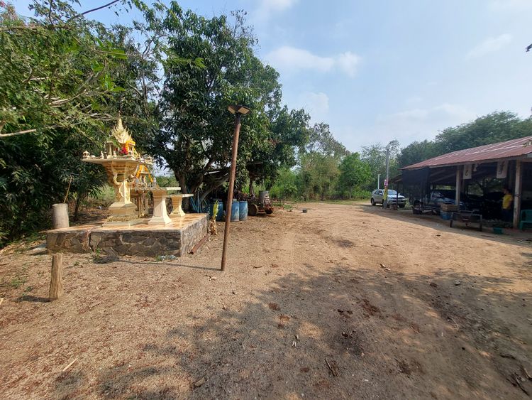 ขายที่ดินแปลงสวย 32 ไร่ ขนงพระใต้ โซนเขาใหญ่ ใกล้มอเตอร์เวย์ ตำบลขนงพระ, ภาพที่ 4