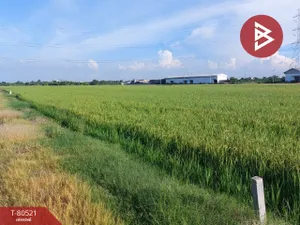 ขายที่ดิน เนื้อที่ 1 ไร่ ไทรน้อย นนทบุรี