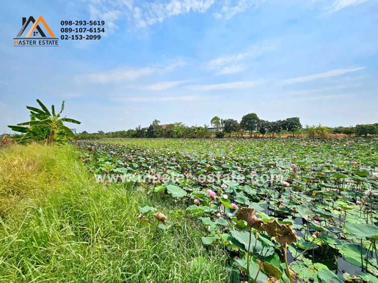 เหมาะสำหรับทำร้านอาหาร วิวสระบัว ที่ดินเปล่า 2-1-99 ไร่ บึงบัว ฉลองกรุง, ภาพที่ 4
