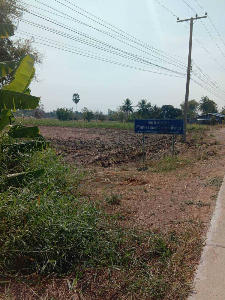 ขาย ที่ดิน ทำการเกษตร ติดถนนลาดยาง กะบกเตี้ย เนินขาม ชัยนาท, ภาพที่ 4