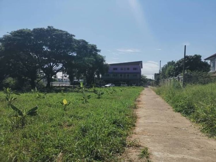 ลดราคาขายด่วน​ มองหานักลงทุนทำบ้านขาย​ ​ขายที่ดินทำเลทอง​ ติดน้ำ ถนน, ภาพที่ 4