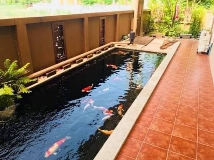 ให้เช่า 45,000 บาท ขาย 8.9 ล้าน 400 ตรว. 3 นอน 4 น้ำ ชมภู สารภี เพียง, ภาพที่ 4