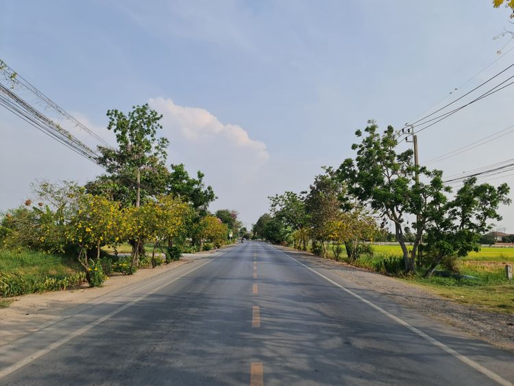 ขายที่ดินเปล่า หนองจอก แปลงสวย ติดถนน สังฆสันติสุข ใกล้ เดอะ ไพน์ กอล์ฟ, ภาพที่ 4