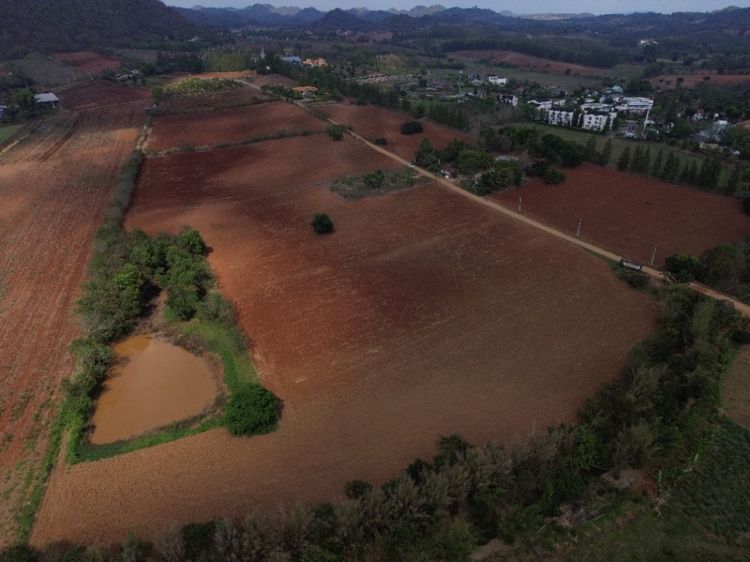 ขาย ที่ดิน  วังกะทะ อำเภอปากช่อง 31-1-80 ไร่  ID-13810, ภาพที่ 4
