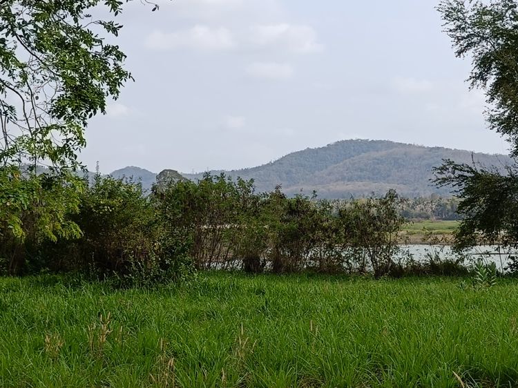 ขายที่ดินสวย วิวอ่างเก็บน้ำ วิวภูเขา พื้นที่ตะเคียนเตี้ย บางละมุง เงียบ, ภาพที่ 4
