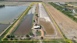 ขายที่ดิน 47 ไร่ 162 ตรว. ถนน 3020 ต.หนองจอก อ.บางปะกง จ.ฉะเชิงเทรา