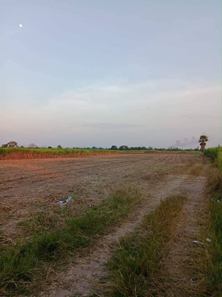 ขายที่ดินในจังหวัดอุทัยธานี ด่วนๆ เจ้าของขายเองจ้าาา, ภาพที่ 4